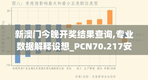 新澳门今晚开奖结果查询,专业数据解释设想_PCN70.217安静版